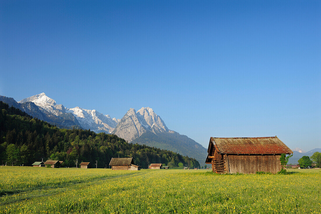 Blumenwiese mit Heustadel vor Alpspitze, Zugspitzstock und Waxenstein, Garmisch-Partenkirchen, Wetterstein, Werdenfelser Land, Oberbayern, Bayern, Deutschland, Europa