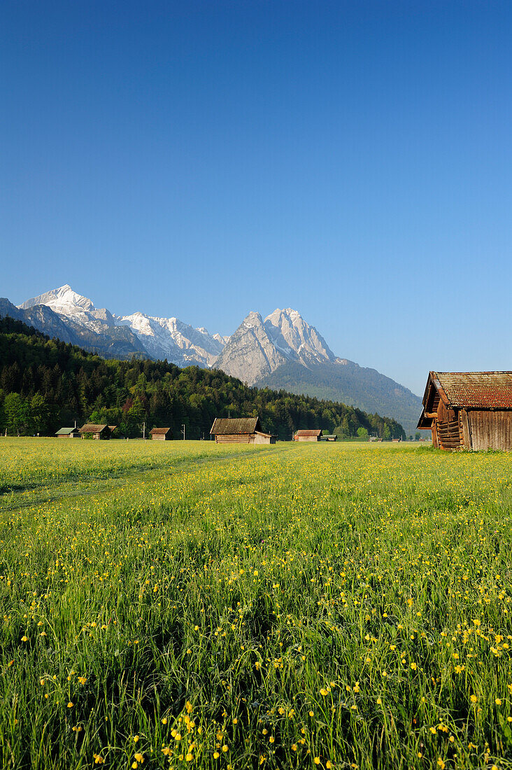 Meadow with flowers and hay sheds in front of Alpspitze, Zugspitze range and Waxenstein, Garmisch-Partenkirchen, Wetterstein range, Werdenfels, Upper Bavaria, Bavaria, Germany, Europe