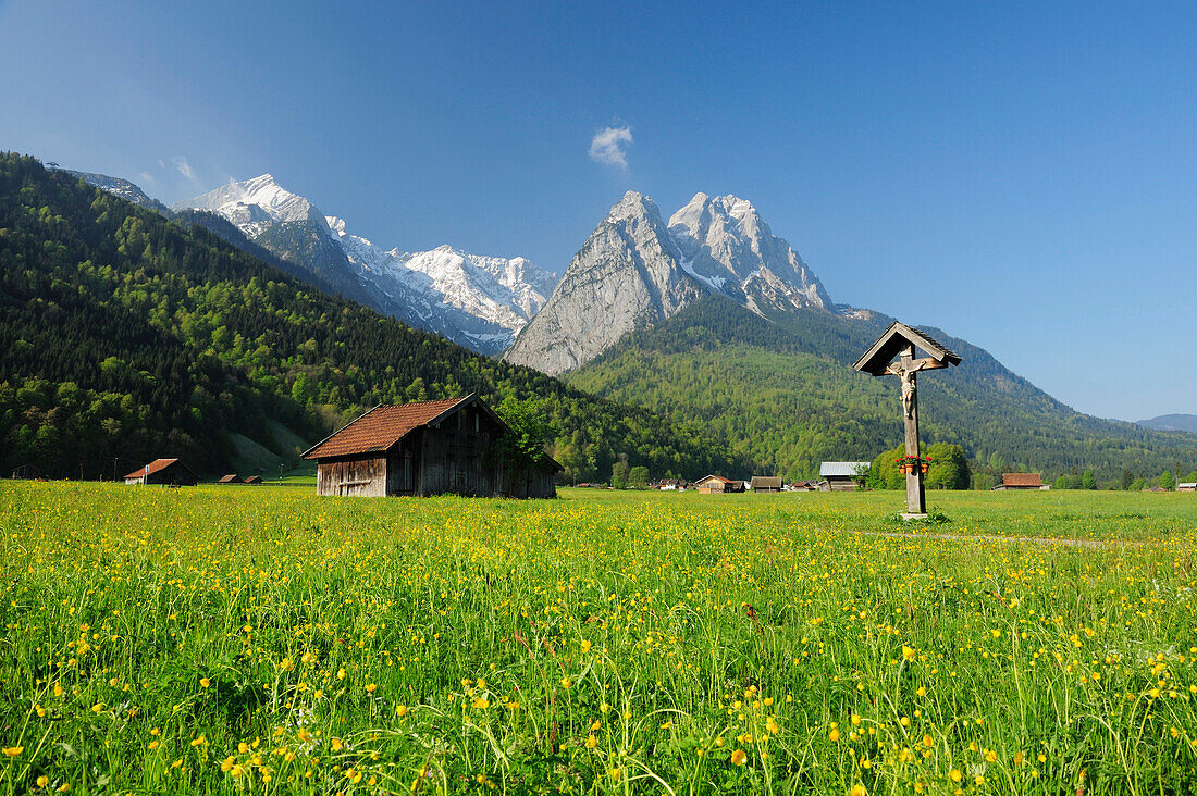 Meadow with flowers, hay sheds and wayside cross in front of Zugspitze range with Waxenstein, Garmisch-Partenkirchen, Wetterstein range, Werdenfels, Upper Bavaria, Bavaria, Germany, Europe