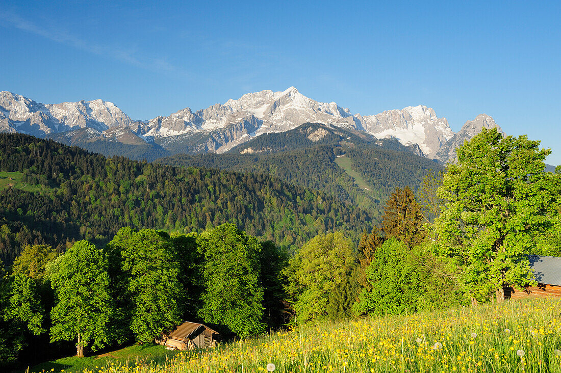 Meadow with flowers and hay sheds in front of Wettertein range with Hochwanner, Alpspitze, Zugspitze and Waxenstein, Garmisch-Partenkirchen, Wetterstein range, Werdenfels, Upper Bavaria, Bavaria, Germany, Europe