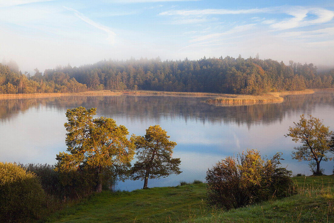 Lake Fohnsee in morning light, Iffeldorf, Osterseen, Upper Bavaria, Germany