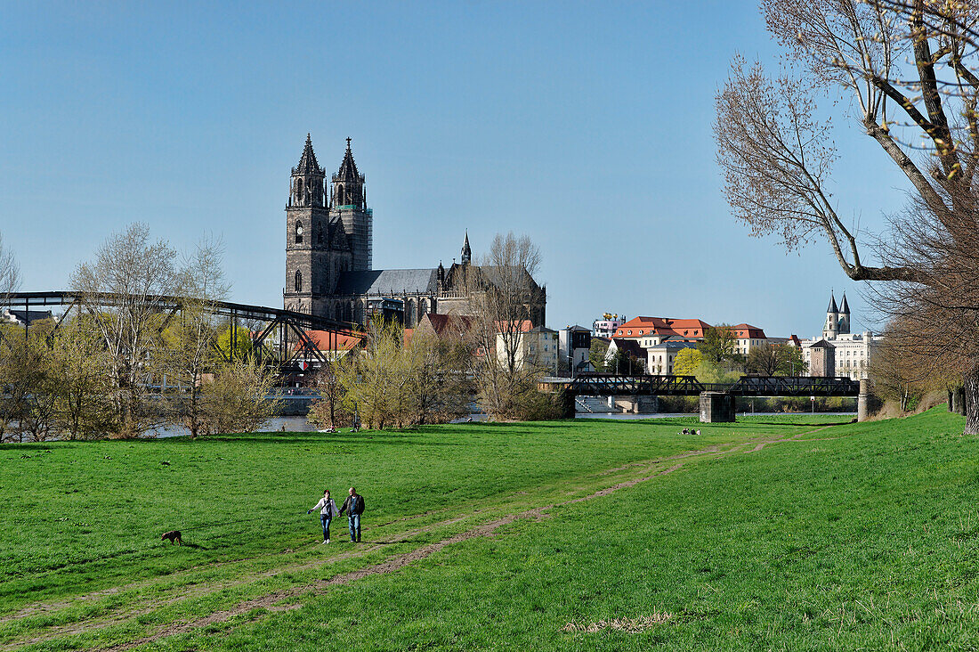 View over Elb meadow and Elbe river onto Magdeburg Cathedral and Unser Lieben Frauen monastery, Magdeburg, Saxony-Anhalt, Germany, Europe