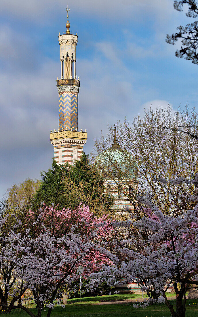 Blooming cherry trees and almond trees in front of mosque, Neustaedter Havel Bay, Potsdam, Brandenburg, Germany, Europe