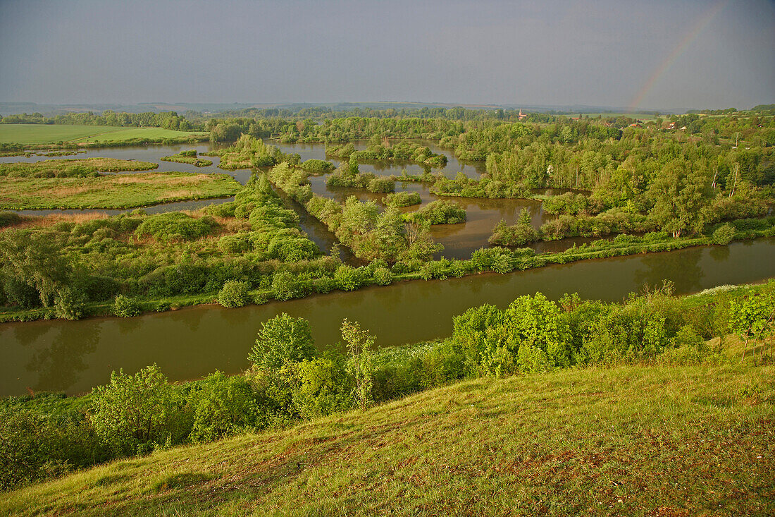 Blick auf Teich- und Sumpflandschaft sowie den Canal de la Somme vom Belvédère de Frise, Dept. Somme, Picardie, Frankreich, Europa