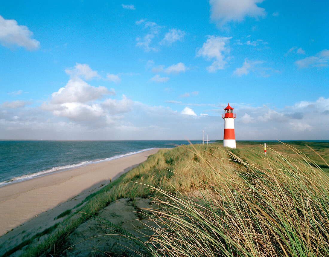 Leuchtturm in den Dünen, Ellenbogen, List, Insel Sylt, Schleswig-Holstein, Deutschland