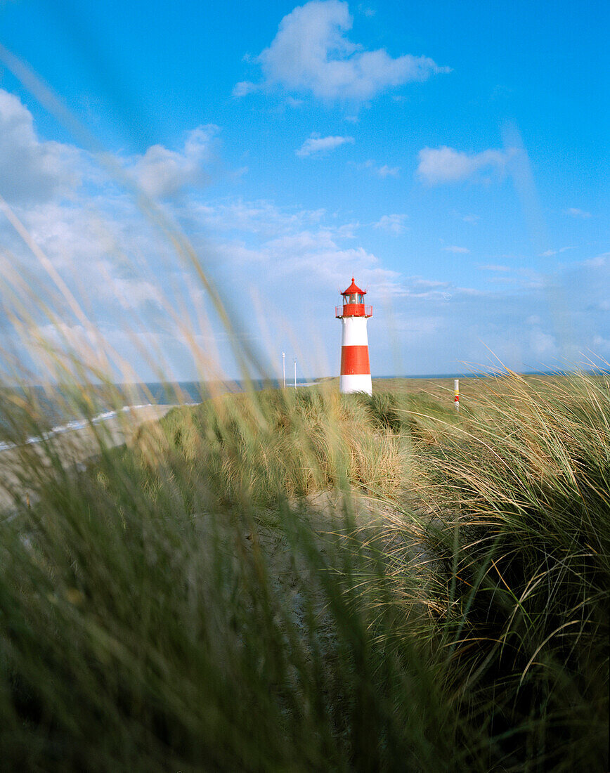 Lighthouse in the dunes, Ellenbogen, List, Sylt island, Schleswig-Holstein, Germany