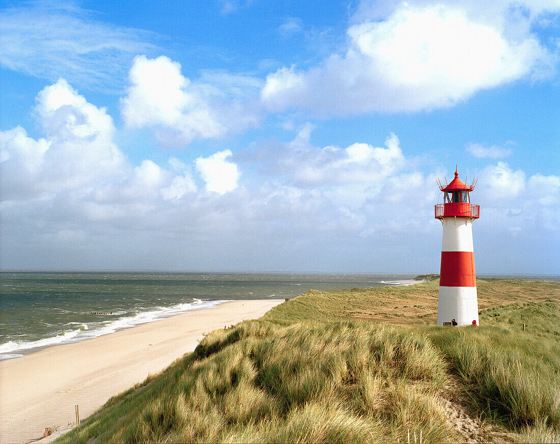 Lighthouse in the dunes, Ellenbogen, List, Sylt island, Schleswig-Holstein, Germany