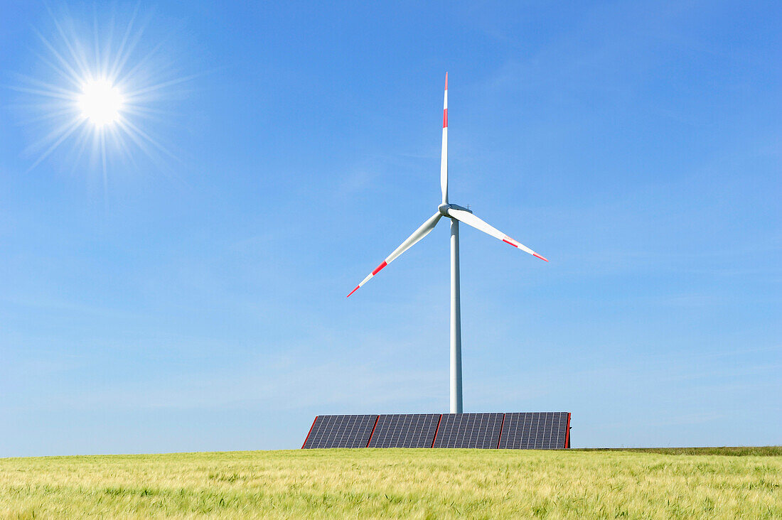 Windkraftanlage steht über Sonnenkollektor mit Getreidefeld im Vordergrund, Ulm, Baden-Württemberg, Deutschland, Europa