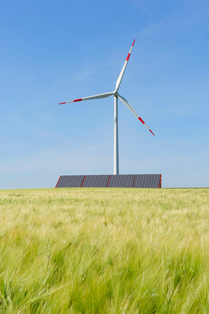 Windkraftanlage steht über Sonnenkollektor mit Getreidefeld im Vordergrund, Ulm, Baden-Württemberg, Deutschland, Europa