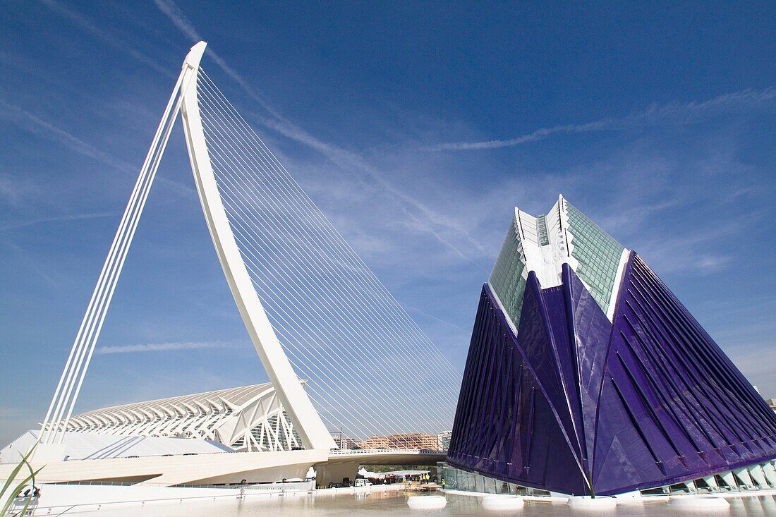 Ciudad de las Artes y las Ciencias