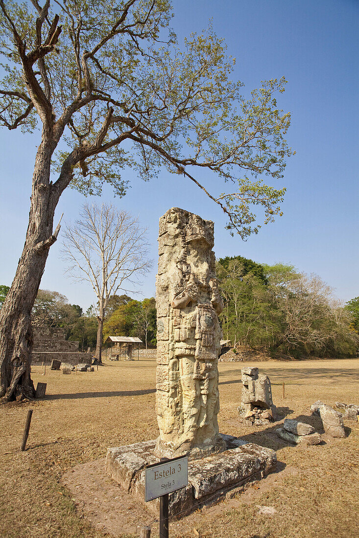 Stela 3 in the Great Plaza, Mayan ruins of Copan, Copan Ruinas, Honduras