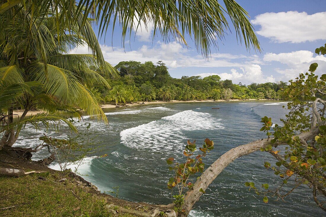 Carenero Island, Bocas del Toro Province, Panama