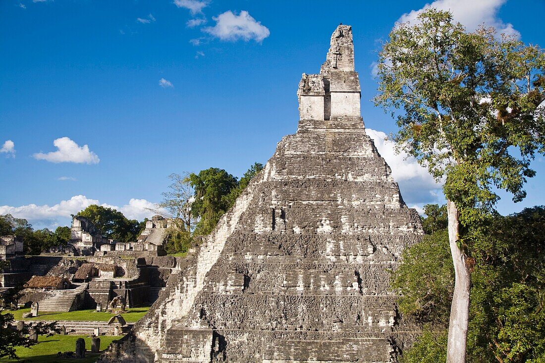 Central Acropolis, Great Plaza, Tikal, El Peten department, Guatemala