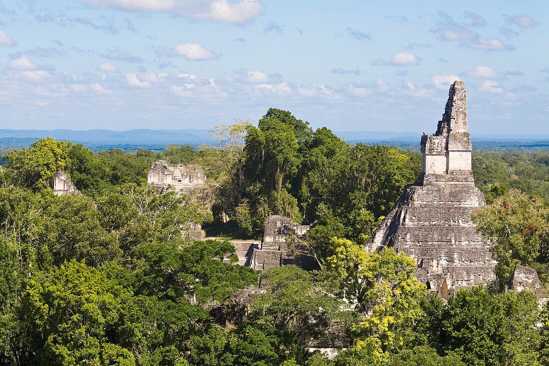 View from Temple V, Tikal, El Peten department, Guatemala