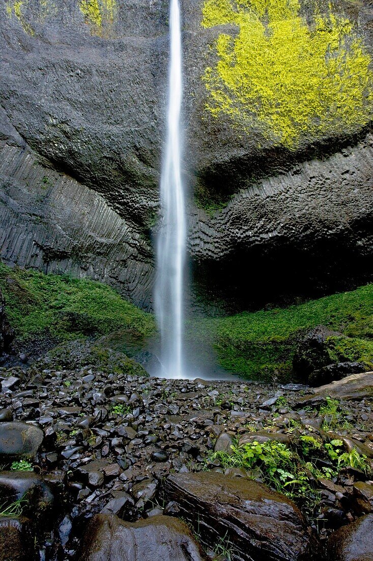 Latourell Falls, Columbia River Gorge National Scenic Area, Oregon, USA