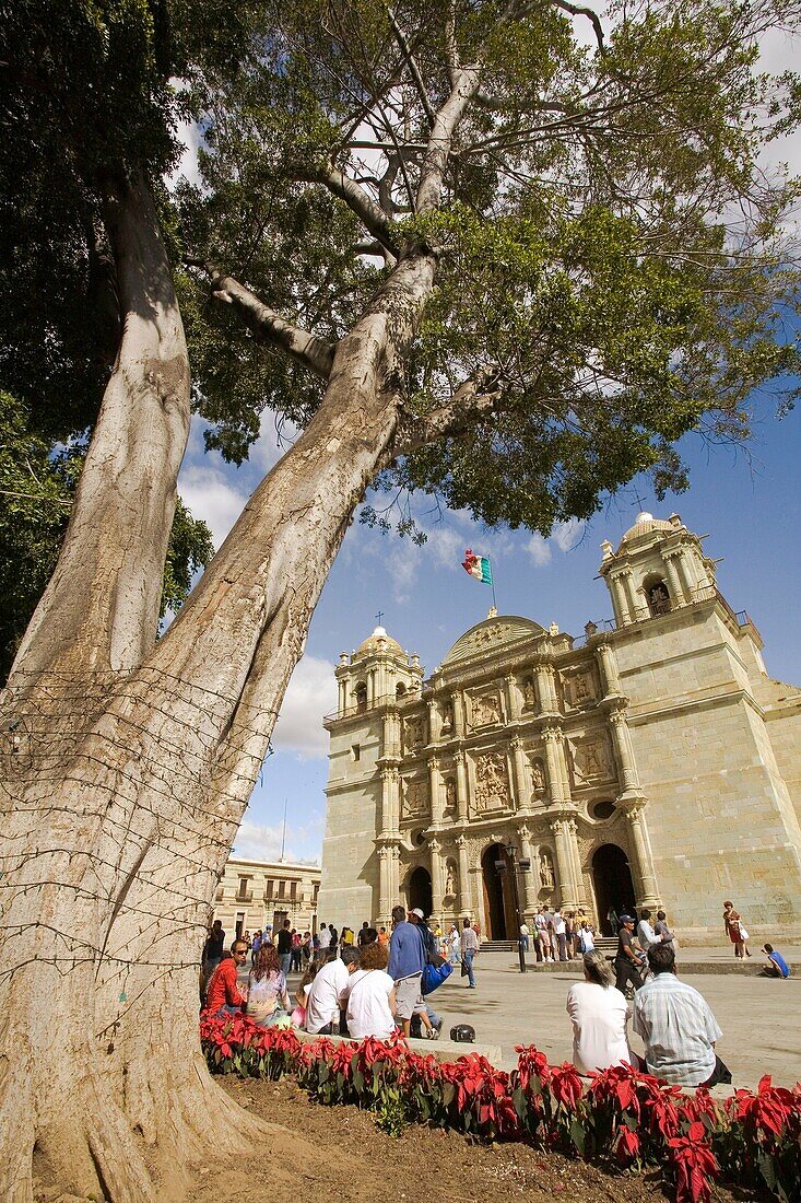 The Cathedral on the ZÃ³calo Square. Churrigueresque style. Oaxaca. Mexico