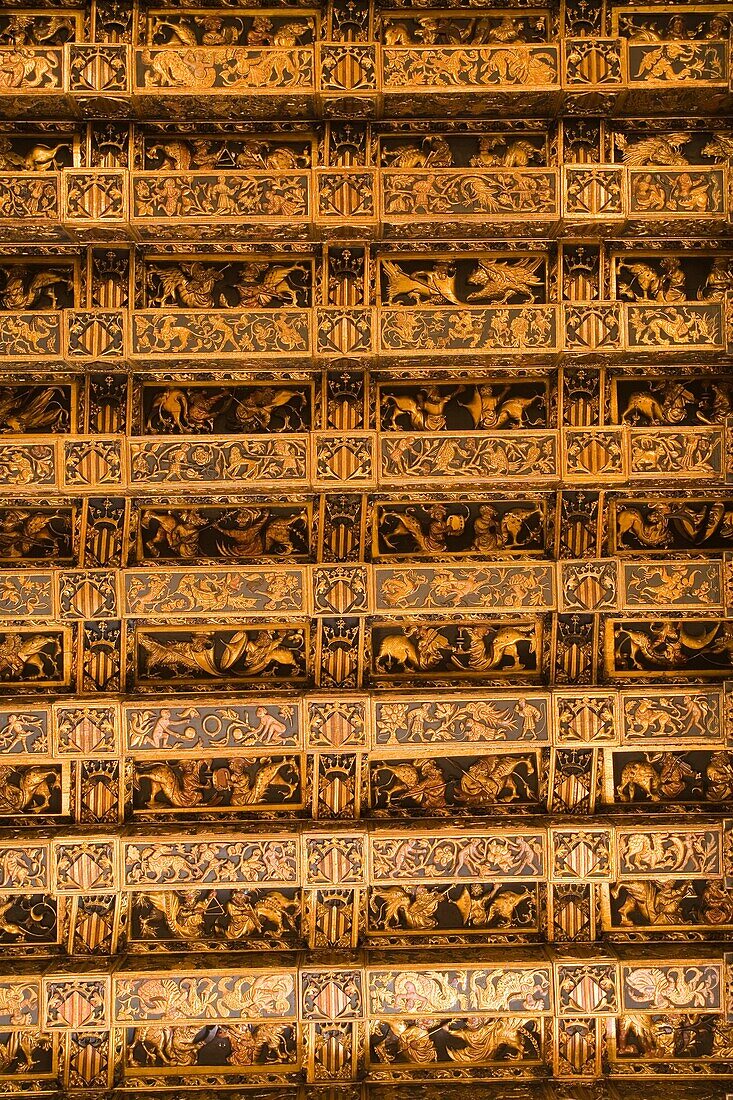 Ceiling Decoration