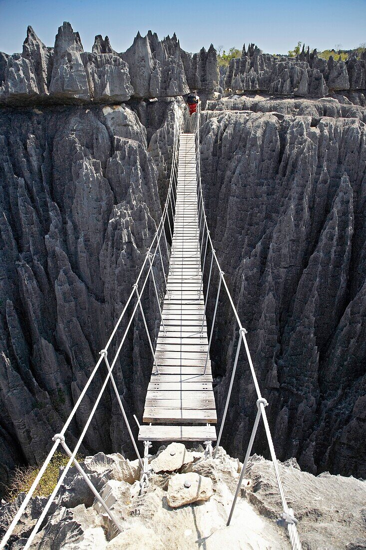 Tsingy de Bemaraha, Parque Nacional de los Tsingy de Bemaraha, Patrimonio de la Humanidad de la UNESCO, Mahajanga, Madagascar