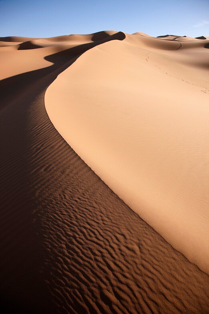 Sand dunes in desert, Wadi Tanezzouft, Ghat, Libia