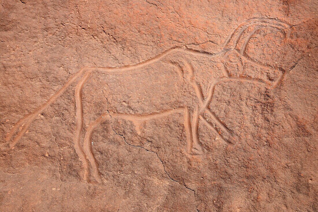 Rocks carvings, Wadi Matkhandoush, Wadi Matkhandoush, Ghat, Libia