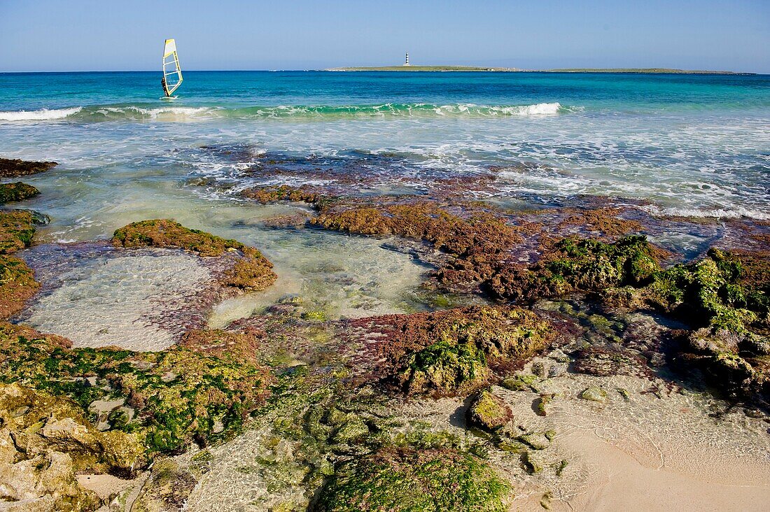 windsurf en Menorca
