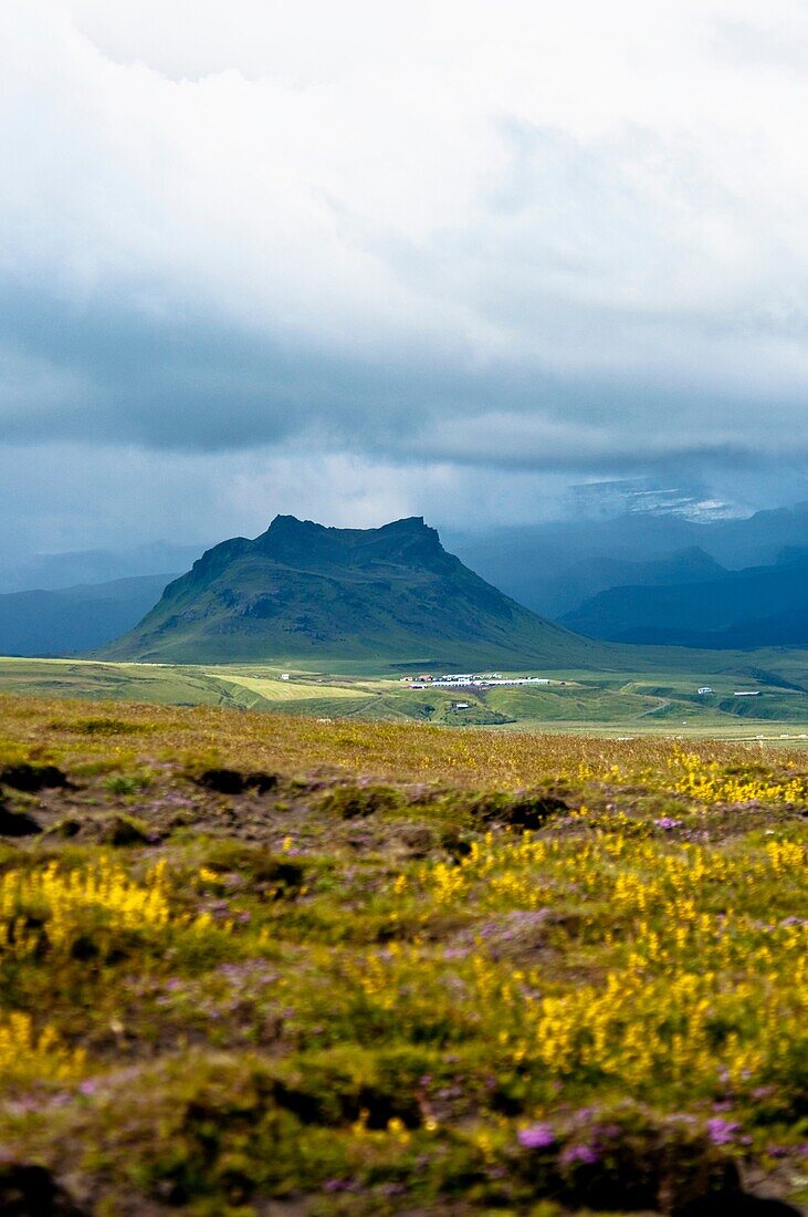 Dýrhólaey Vik South Iceland