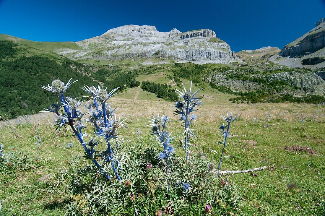 Mountain views in Aragues del Puerto Valley Huesca Spain