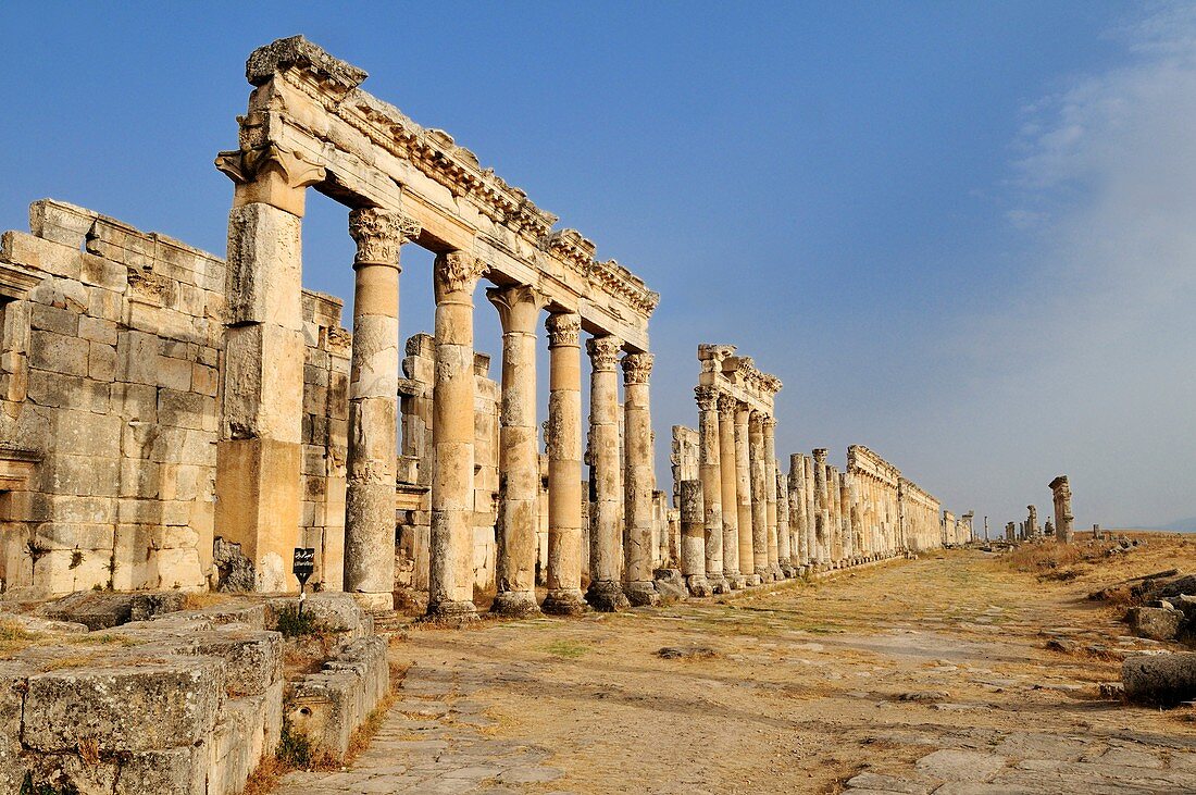 ruins at the roman archeological site of Apameia, Apamea, Qalaat al Mudiq, Syria, Middle East, West Asia