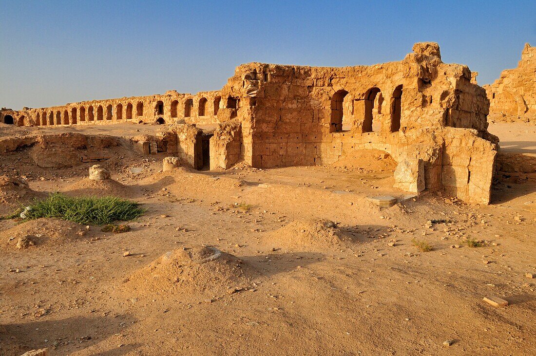 byzantine ruins at the archeological site of Resafa, Sergiopolis, near the Euphrates, Syria, Middle East, West Asia
