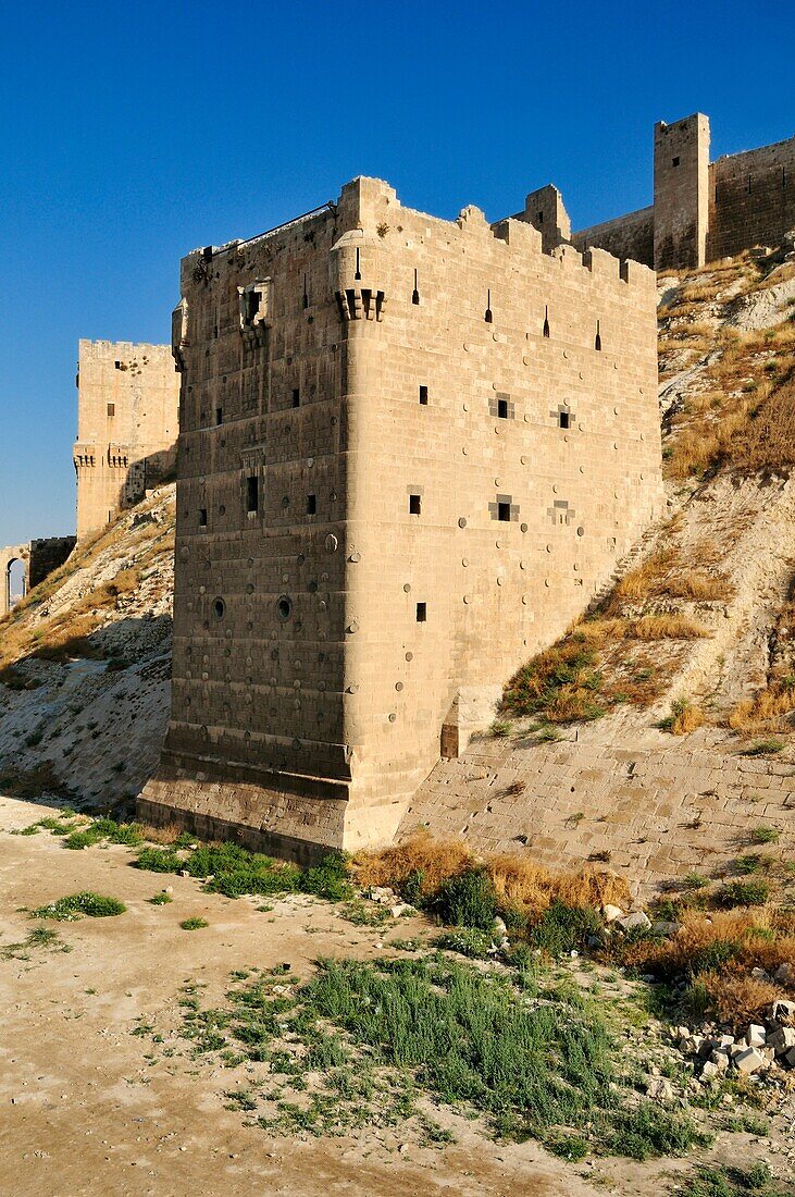 historic citadell of Aleppo, Unesco World Heritage Site, Syria, Middle East, West Asia