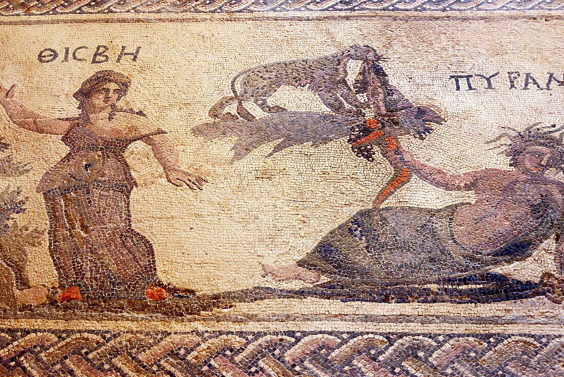 Greece, Cyprus Island, greek part, Kato Pafos archaeological site, mosaics roman period in the Dionysus House, III c, the name “House of Dionysus” is due to the many representations of Dionysus, the god of wine