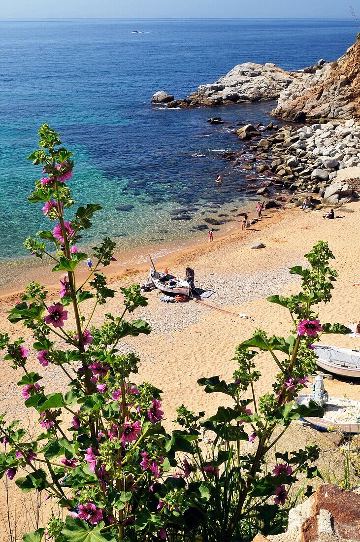 Es Codolar beach, Playa de Es Codolar, Tossa de Mar, Costa Brava, Catalonia, Spain, Europe