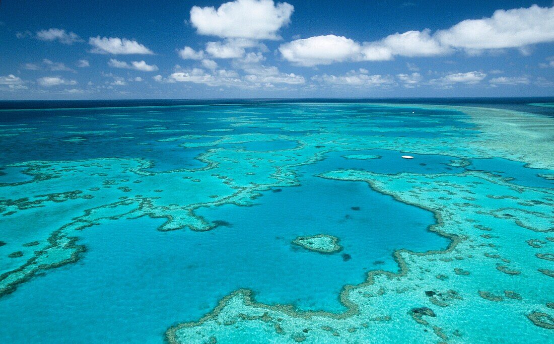 Considéré par certains comme la 8ème merveille du monde, la Grande barrière de corail s'étends sur plus de 2000 kilomètres au large des côtes nord-est australienne Au centre, on distingue une partie de récif en forme de cœur : le Heart Reef F-90X+17/35+