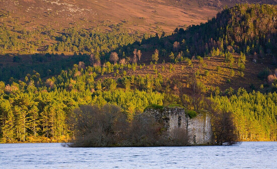 Scotland, Scottish Highlands, Cairngorms National Park Castle located on Loch an Eilein, surrounded by the Caledonian Forest of the Rothiemurchus Estate