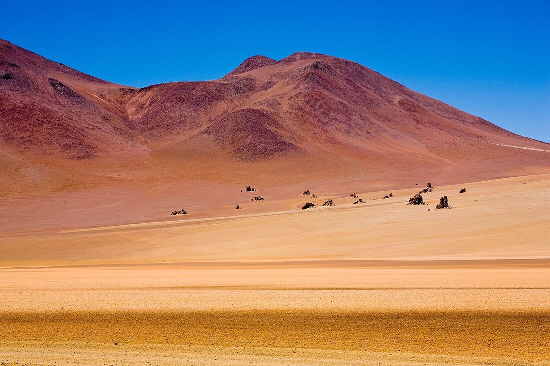 Bolivia, Southern Altiplano, Painted Desert - A landscape that could have inspired Salvador Dhali in the Bolivian Southern Altiplano