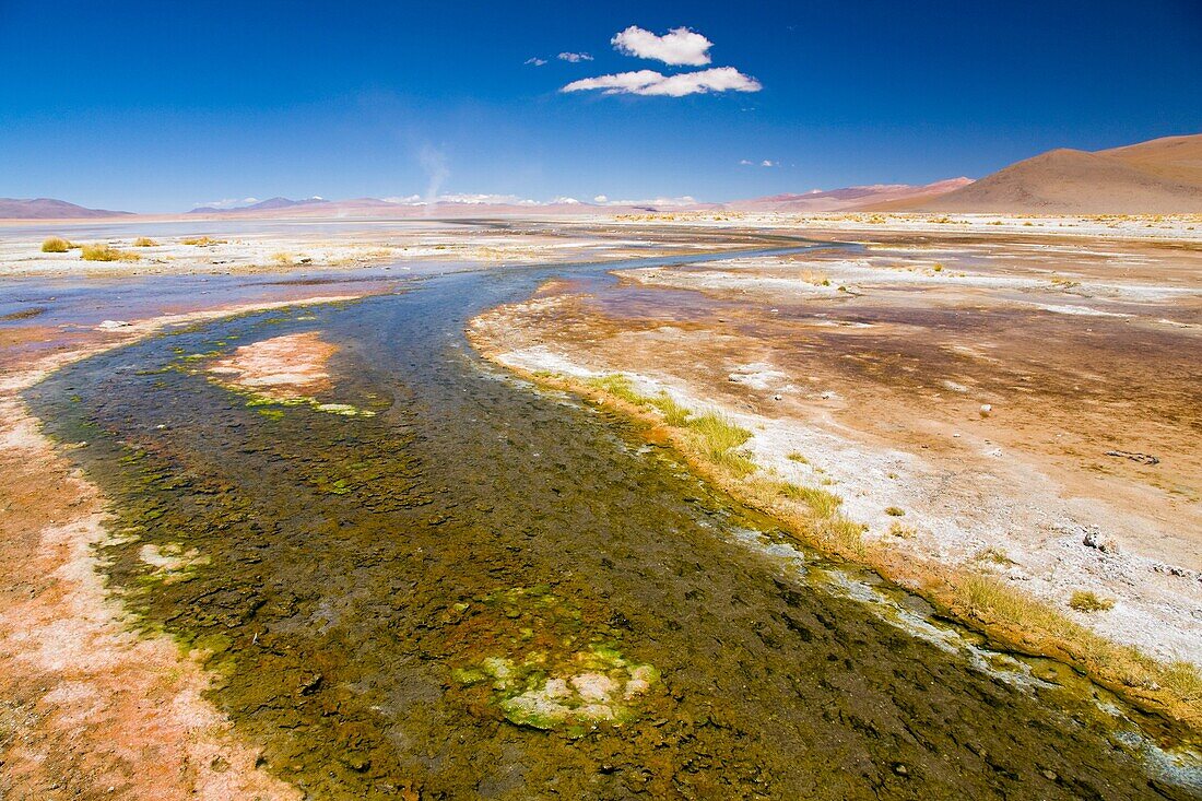 Bolivia, Southern Altiplano, Termas de Polques Stream coloured by minerals near the Termas de Polques otherwise known as the Hot Pools