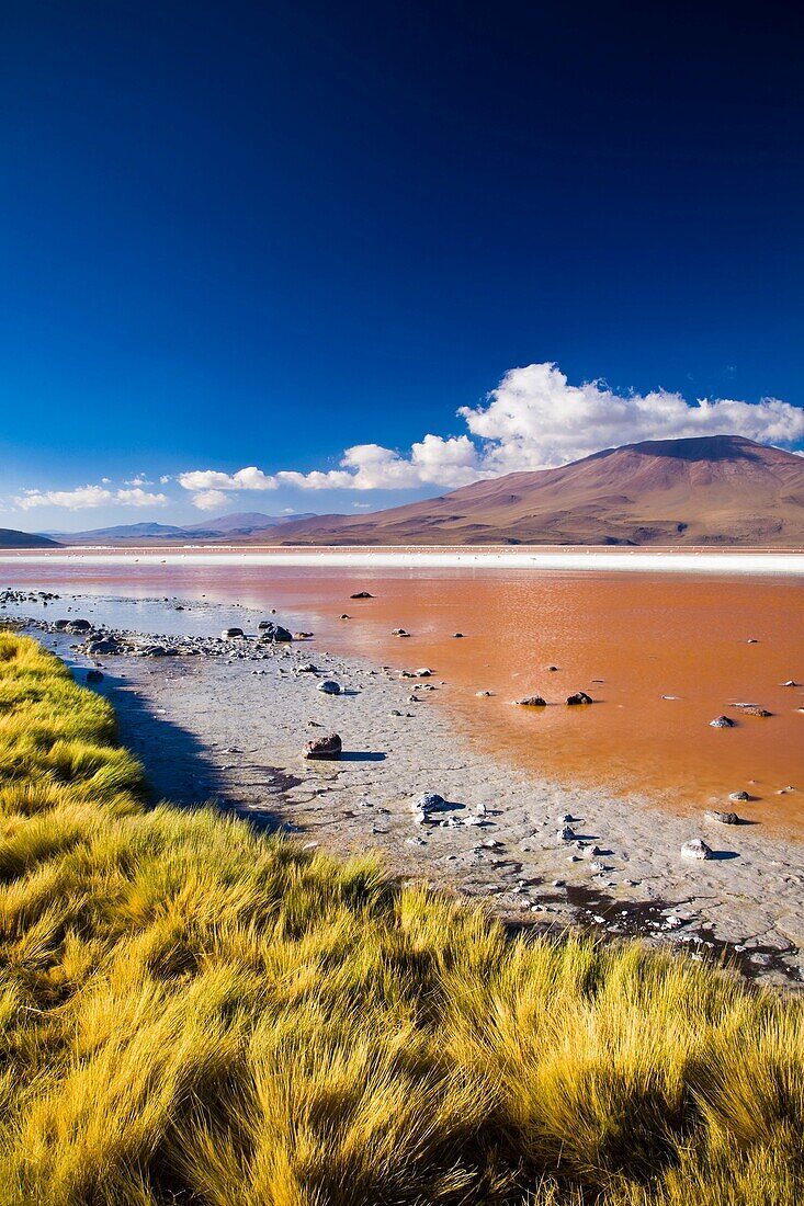 Bolivia, Southern Altiplano, Laguna Colorada The dramatic other world landscape of the Laguna Coloroda otherwise know as the coloured lake