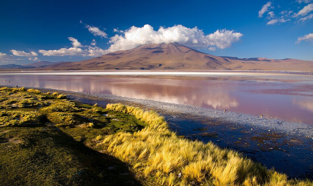 Bolivia, Southern Altiplano, Laguna Colorada The dramatic other world landscape of the Laguna Coloroda otherwise know as the coloured lake