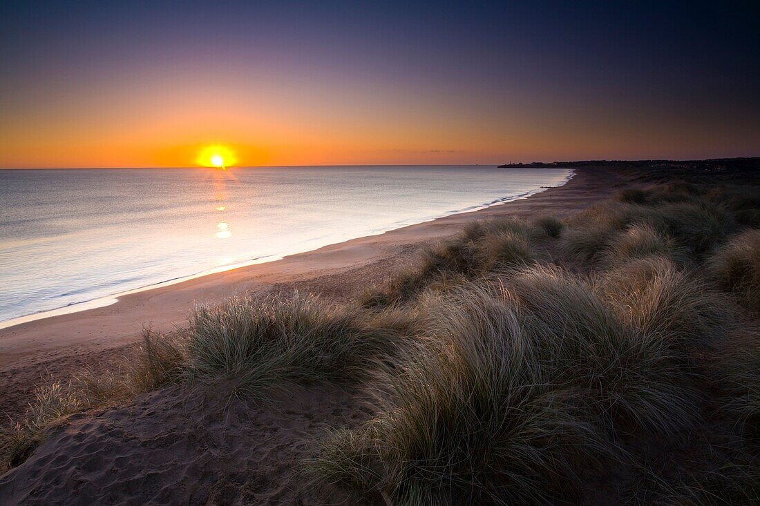 England, Northumberland, Blyth Beach Blyth Beach and sand dunes at sunrise, looking south towards Seaton Sluice