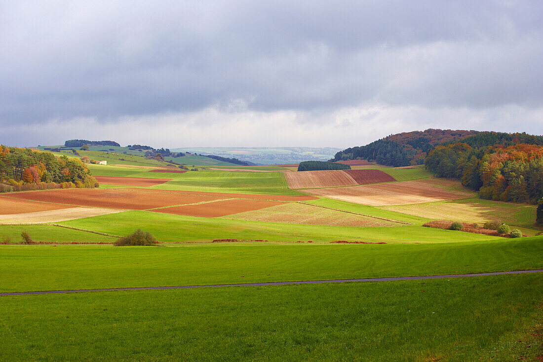 Agrarlandschaft bei Alendorf, Eifel, Nordrhein-Westfalen, Deutschland, Europa
