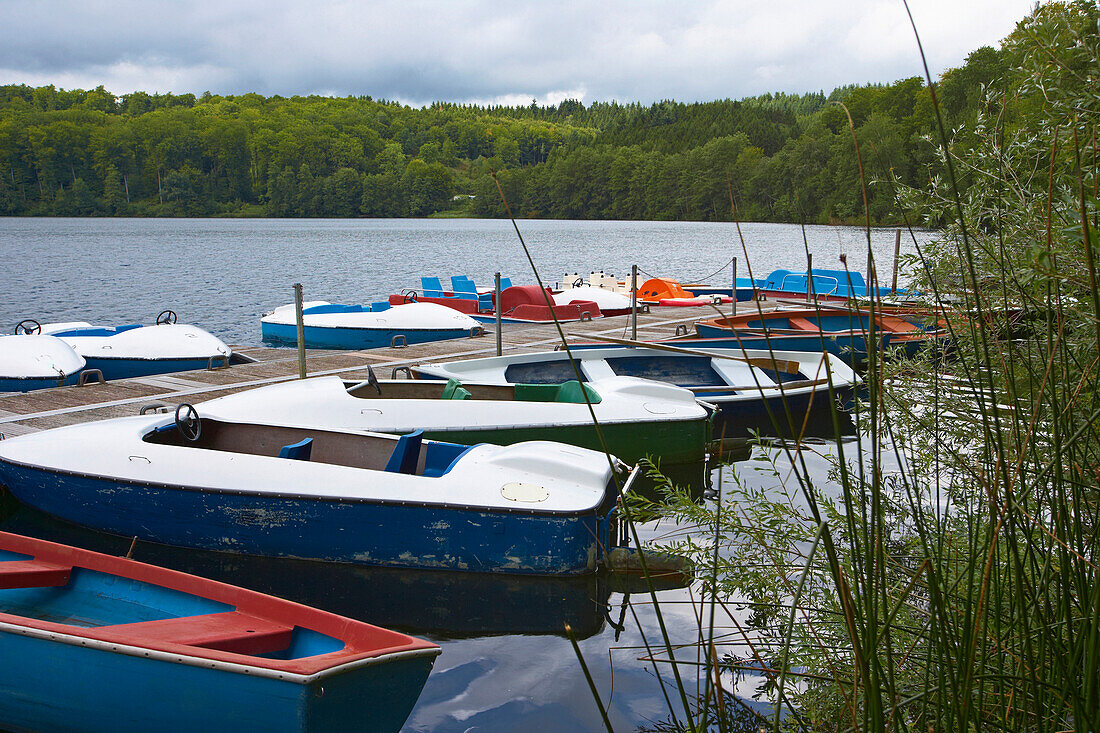 Pulvermaar near Gillenfeld, Eifel, Rhineland-Palatinate, Germany, Europe