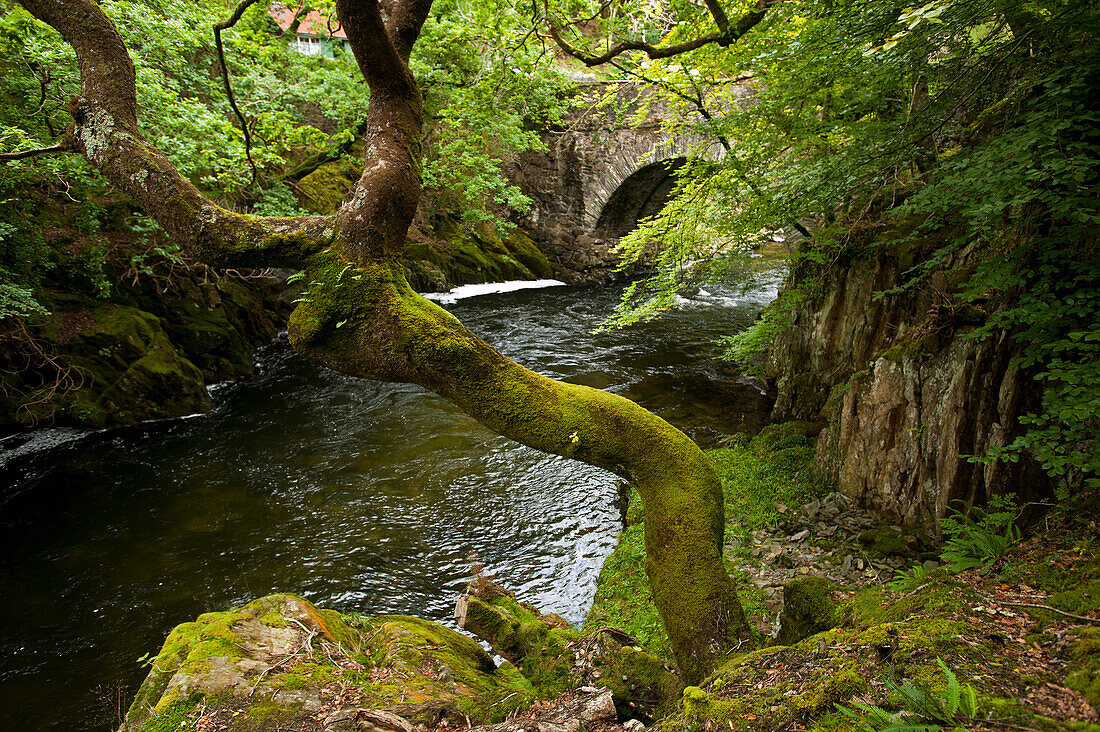 Die Aberglaslyn Gorge nahe Beddgelert, Wales, Großbritannien