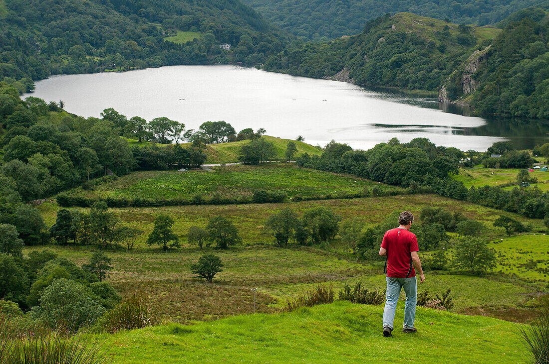 Blick zum See Llyn Gwynant, Snowdonia National Park, Wales, Großbritannien