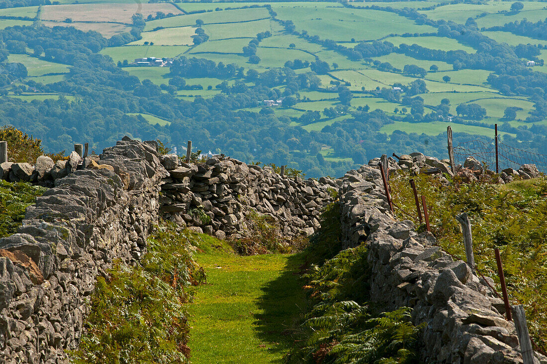 Steinmauern oberhalb Rowen, Snowdonia National Park, Wales, Großbritannien