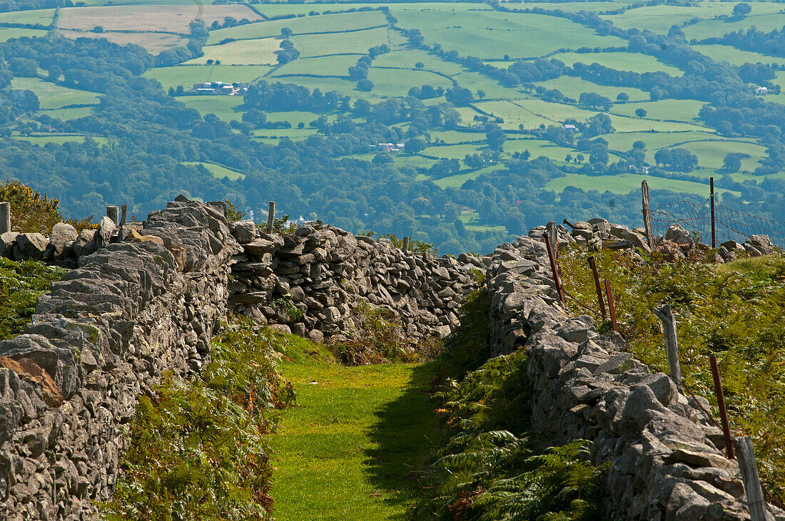 Stone walls above Rowen, Snowdonia National Park, Wales, UK