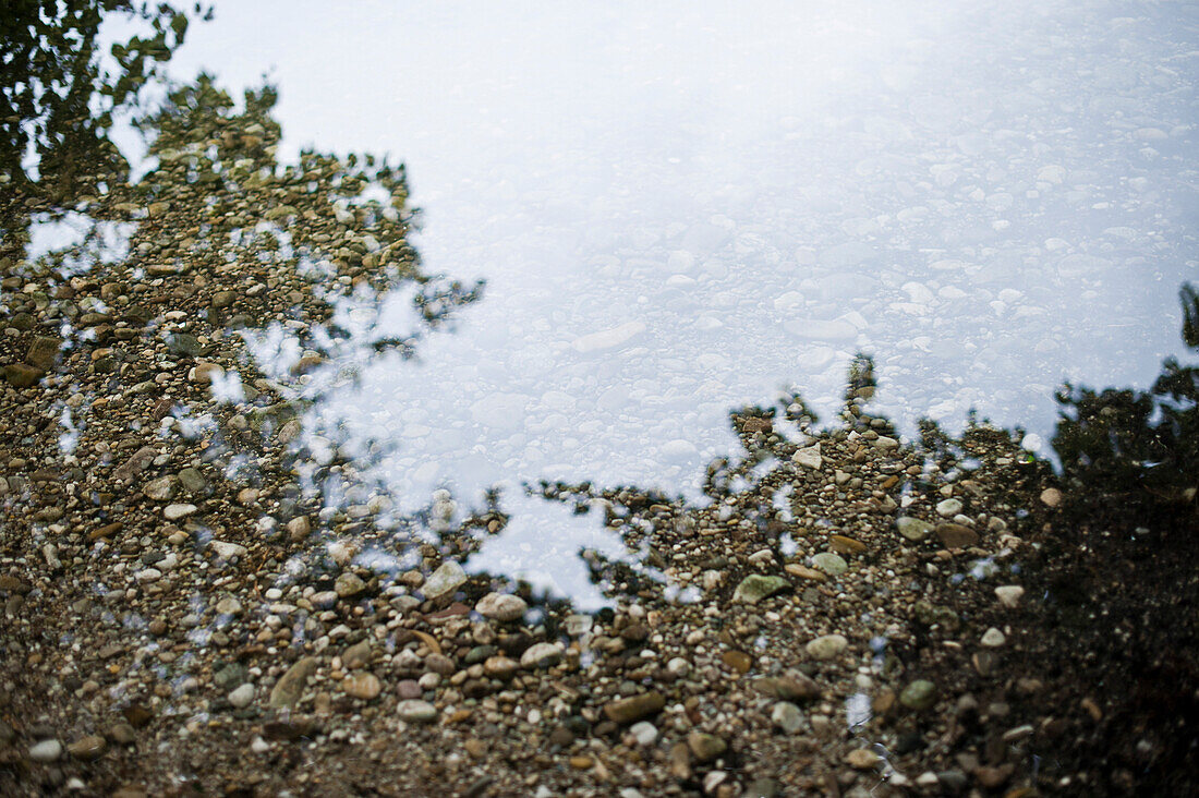 Spiegelung, Starnberger See, Bayern, Deutschland