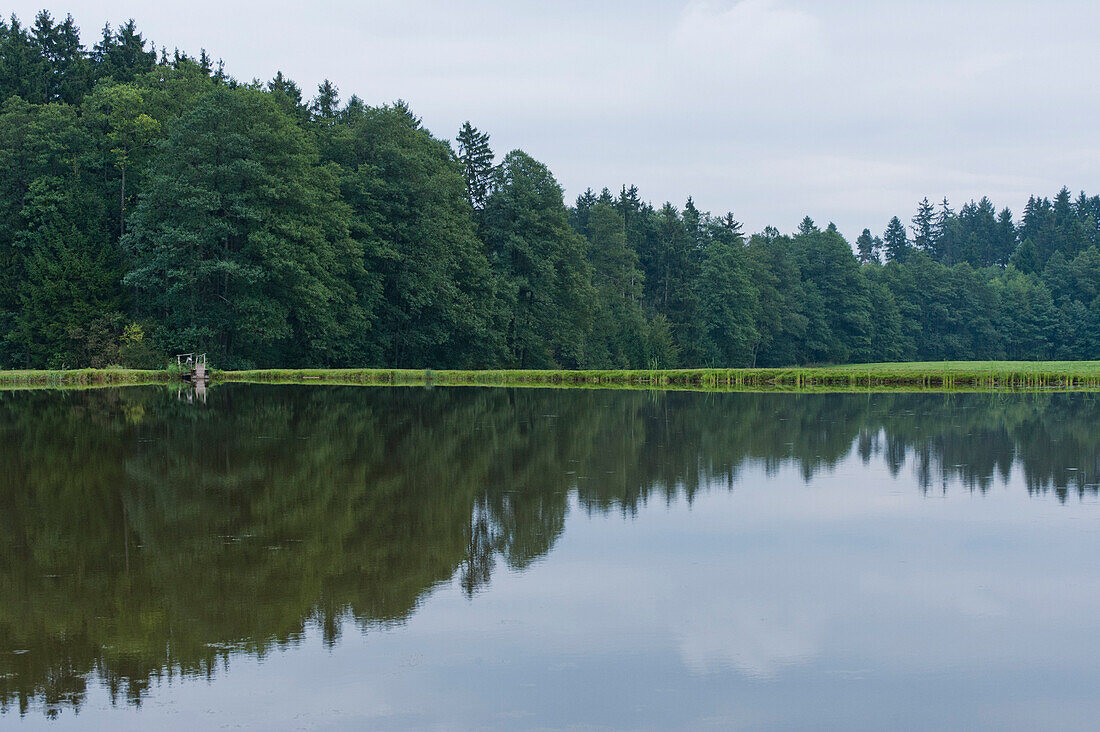 Pond near Weilheim, Bavaria, Germany