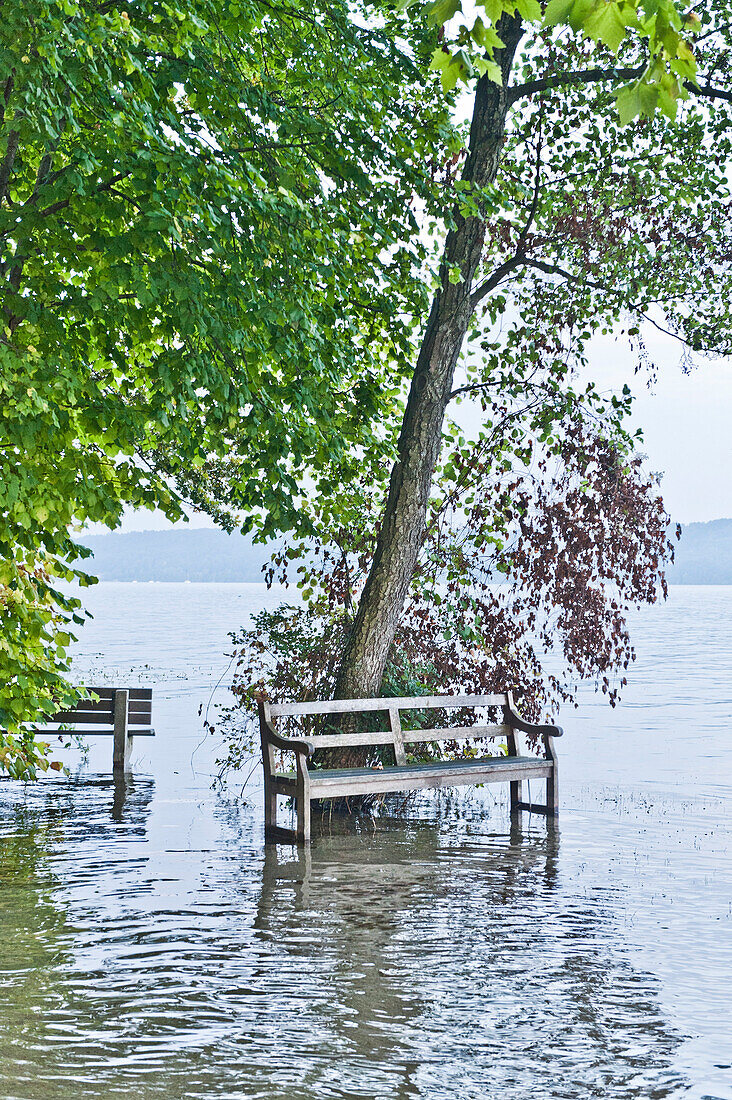 Bench in high flood, lake Starnberg, Bavaria, Germany