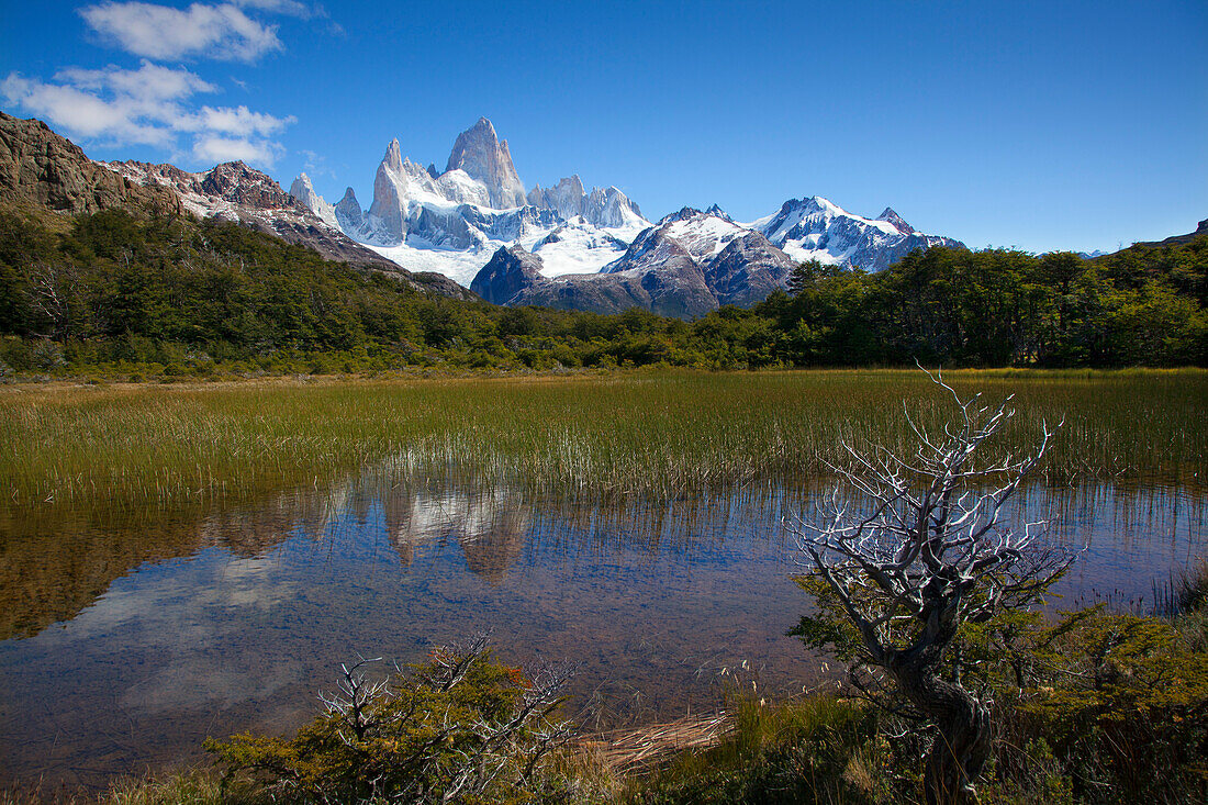 Mt. Fitz Roy spiegelt sich in einem kleinen See, Nationalpark Los Glaciares, bei El Chalten, Patagonien, Argentinien