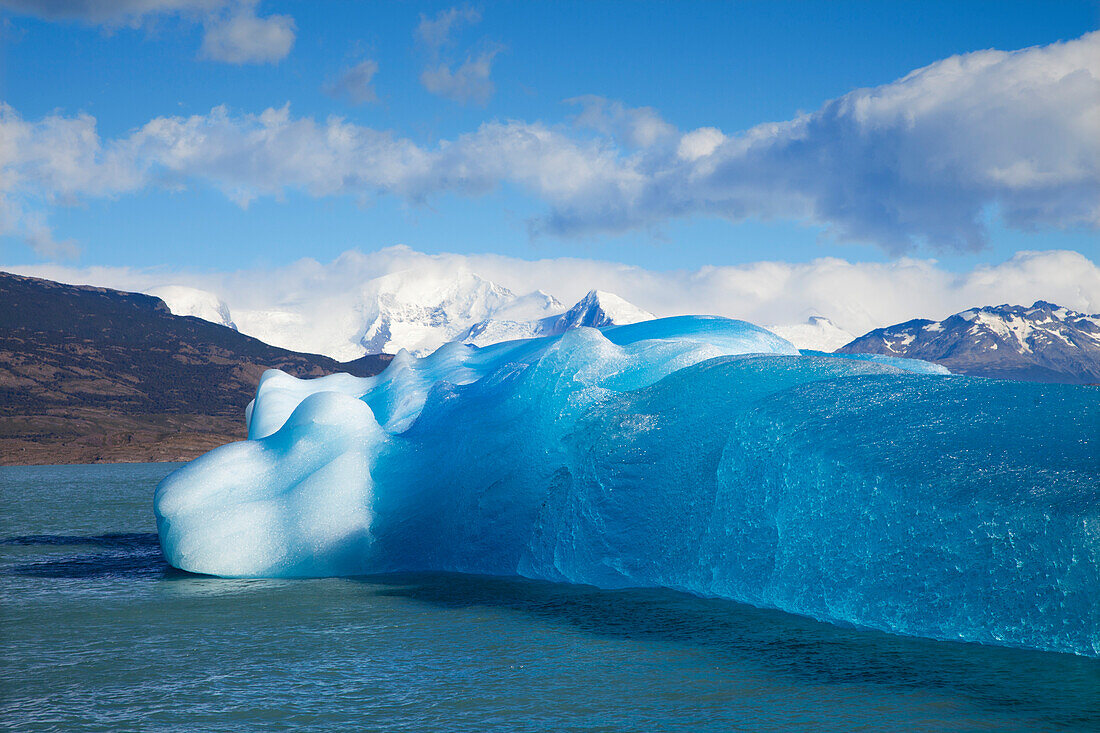 Icebergs at Lago Argentino, Los Glaciares National Park, near El Calafate, Patagonia, Argentina